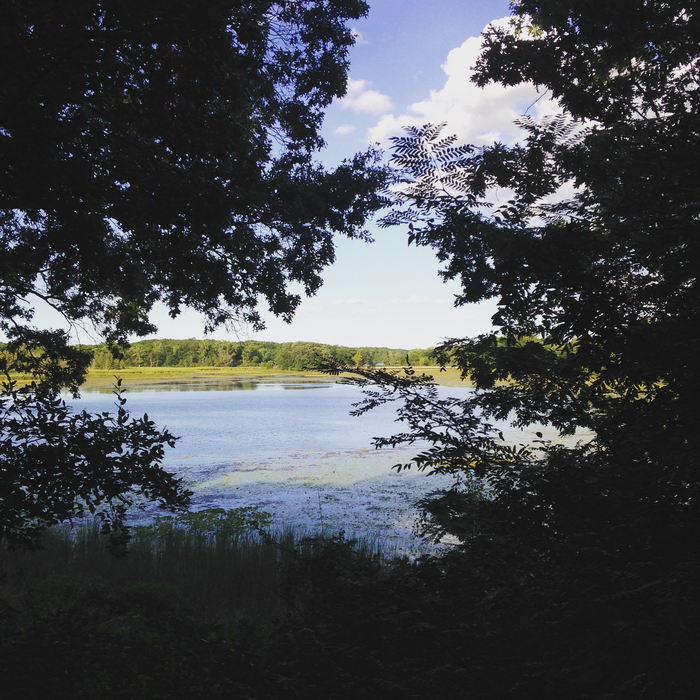 Kensington Metropark - 2015 Photo (newer photo)